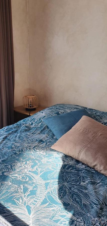 Studio Cosy Avec Grande Terrasse Au Calme Villa Сен Сир сюр Мер Екстериор снимка